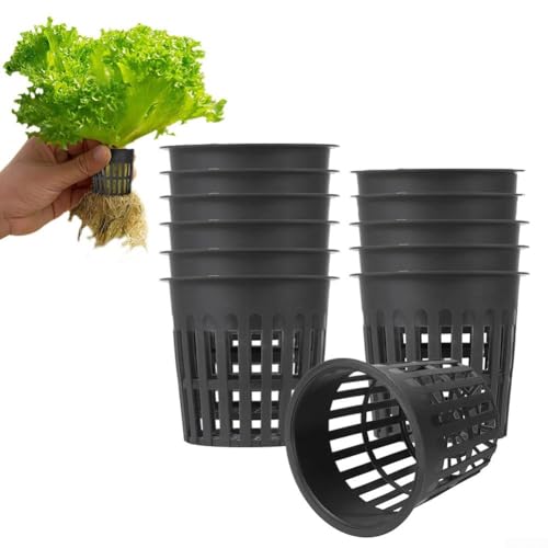 Gartennetzkorb für Hydrokulturen und Baumschulpflanzen, Kunststoffmaterial zur Verbesserung der Wasserableitung (12 Stück) von HavenDomicile