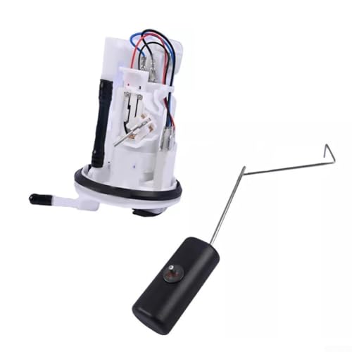 Kraftstoffanzeige Sender Kraftstoffpumpe OEM 3D9139070000 kompatibel mit YBR125 EFI und ED 125 cm3 Modellen für Kraftstoffsystem-Ersatz von HavenDomicile