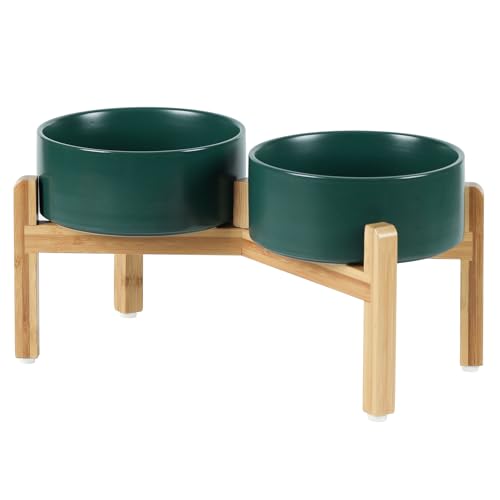 Havniva Keramik-Doppelbechersatz 18,5 cm mit Erhöhständer, Futter- und Wasserbecher für mittelgroße Hunde, gewichtete Hundefressschalen, Petbecher (1,3 l, Grün) von Havniva