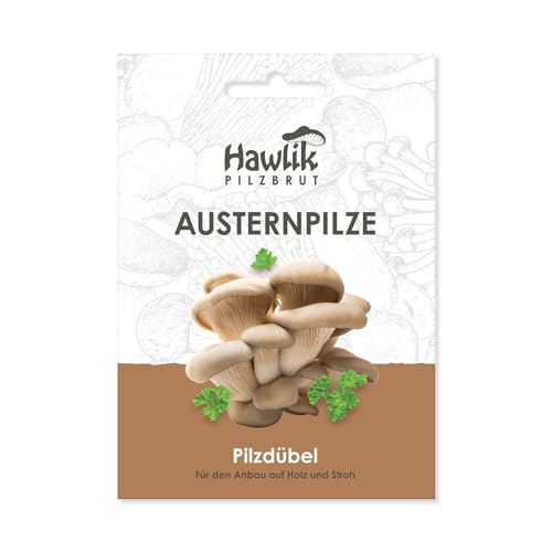 Hawlik Pilzbrut I das Original I Austernpilze als Dübel-Brut zum selber züchten - kinderleicht frische Pilze ernten - 20 Pilzdübel für die Zucht auf Holz und Stroh von Hawlik Pilzbrut