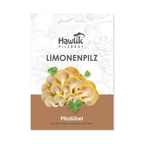 Hawlik Pilzbrut - das Original - Limonenpilz als Dübel-Brut zum selber züchten - kinderleicht frische Pilze ernten - 20 Pilzdübel für die Zucht auf Holz und Stroh von Hawlik Pilzbrut