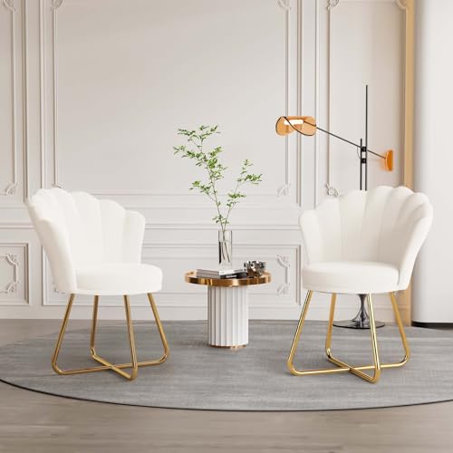Hawthyhome 2er Set Polstersessel esszimmerstühle,Stuhl schminktisch, Stuhl samt,Blütenblatt-Rückenlehne Lehnstuhl mit Metallbeinen Gold,Bis 350lb belastbar Weiß Hawthyhome 2er Set Polstersessel esszimmerstühle,Stuhl schminktisch, Stuhl samt,Blütenblatt-Rückenlehne Lehnstuhl mit Metallbeinen Gold,Bis 350lb belastbar Weiß von Hawthyhome