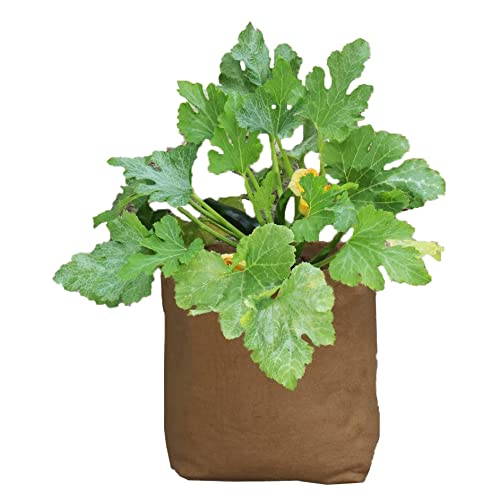 Haxnicks Hanf-Pflanzgefäß | 40 l | HEMP040101, Braun Haxnicks Hanf-Pflanzgefäß | 40 l | HEMP040101, Braun von Haxnicks