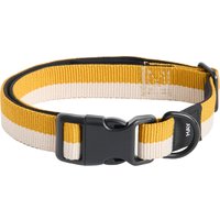 HAY - Dogs Flat Halsband HAY - Dogs Flat Halsband von Hay