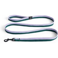 Hundeleine Flat lavender/green von Hay