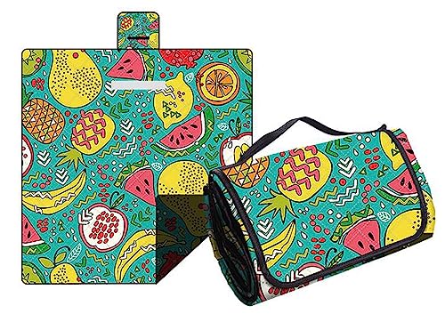 Hayisugal Picknickdecke Sandfrei Stranddecke Wasserdicht Campingdecke Waschbar Strandunterlage Tragbare Picknickdecke Soft für Strand,Picknick,Wandern,Reisen, Bunt Obst, 200 x 200 cm von Hayisugal