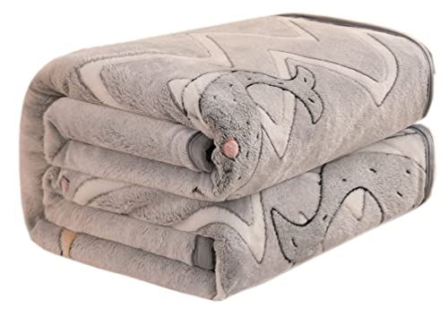 Hayisugal Tagesdecke Bettüberwurf Überwurf Bett Überwurfdecke Tagesdecken Flauschige Kuscheldecke Flanell Mikrofaser Flausch Wohndecken super warm weiche Fleecedecke, Delphin, 150 x 200cm von Hayisugal