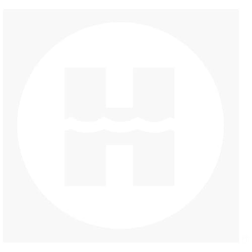 Hayward HDF 400 Gasheizungs-Kit - IGN & Flammensensor | HDXFIGFS001 von Hayward