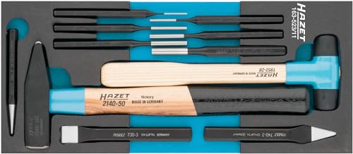 HAZET Werkzeug-Satz (11-teiliger Werkzeugsatz, Safety-Insert-System, 2-Komponenten-Weichschaum-Einlage) 163-523/11 von Hazet