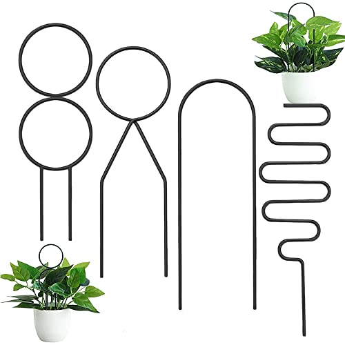 Hazrcvr Pflanzenhalter Zimmerpflanzen 4 Stück Garten Pflanzenstütze Rankhilfe Strauchstütze aus Metall Pflanzen Rankhilfe Gartengitter für Kletterpflanzen Rankhilfe Zimmerpflanzen Metall Hazrcvr Pflanzenhalter Zimmerpflanzen 4 Stück Garten Pflanzenstütze Rankhilfe Strauchstütze aus Metall Pflanzen Rankhilfe Gartengitter für Kletterpflanzen Rankhilfe Zimmerpflanzen Metall von Hazrcvr