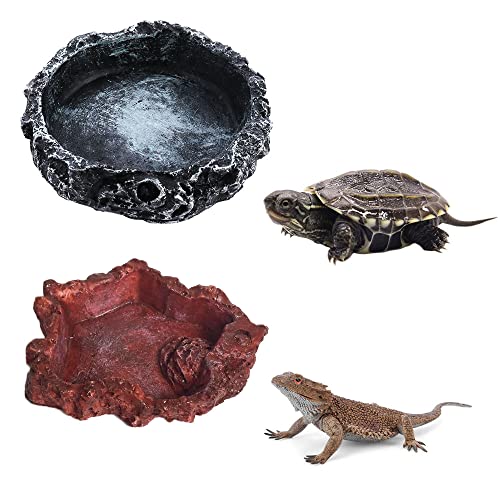 Hazrcvr Reptile Näpfe 2 Stück Dish Reptilien Feeder Schildkröten Futterschale Reptilienschale Futterschale Reptilien Futternäpfe Reptilien Wasser Futternapf Futterschale für Reptilien Hazrcvr Reptile Näpfe 2 Stück Dish Reptilien Feeder Schildkröten Futterschale Reptilienschale Futterschale Reptilien Futternäpfe Reptilien Wasser Futternapf Futterschale für Reptilien von Hazrcvr