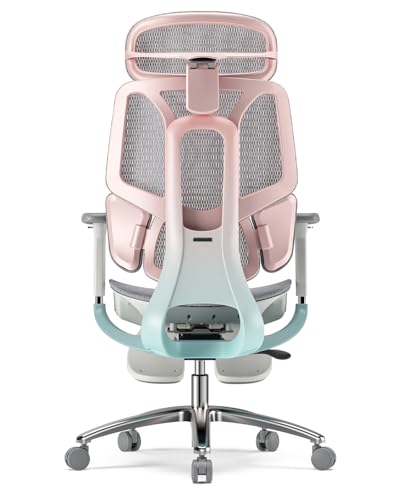 Hbada E3 Pro Ergonomischer Bürostuhl mit 3-Zonen dynamischer Lendenwirbelstütze, 4D verstellbare Kopfstütze, 3D-Armlehnen verstellbar, Schreibtischstuhl mit Fußstütze, Rosa Hbada E3 Pro Ergonomischer Bürostuhl mit 3-Zonen dynamischer Lendenwirbelstütze, 4D verstellbare Kopfstütze, 3D-Armlehnen verstellbar, Schreibtischstuhl mit Fußstütze, Rosa von Hbada