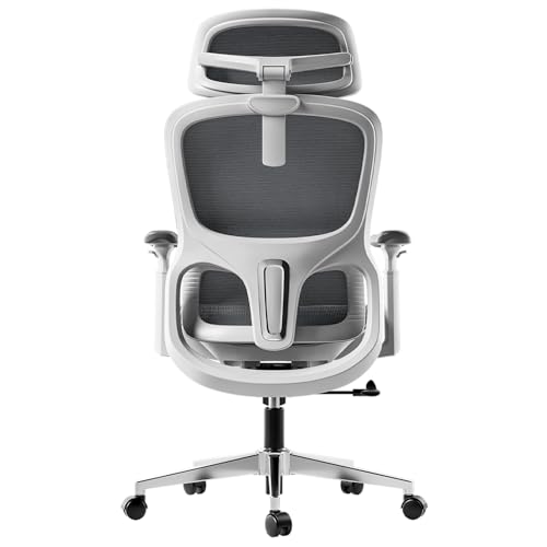 Hbada P2 Ergonomischer Bürostuhl, Bürostuhl mit 3D-Lendenwirbelstütze, Mesh-Stuhl mit 3D 360° drehbaren Armlehnen & 3D-Kopfstütze, 135° stufenloser Neigungsfunktion, Weiß von Hbada