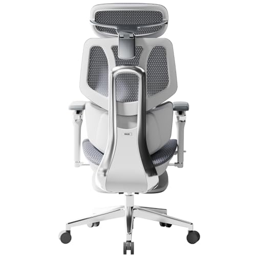 Hbada X7 Intelligenter Ergonomischer Stuhl, Bürostuhl, mit vollautomatischer Lumbalunterstützung, 4D-verstellbarem Kopfstütze, 720° verstellbaren Armlehnen, belüfteter Sitzpolster, Drehfunktion, Grau von Hbada