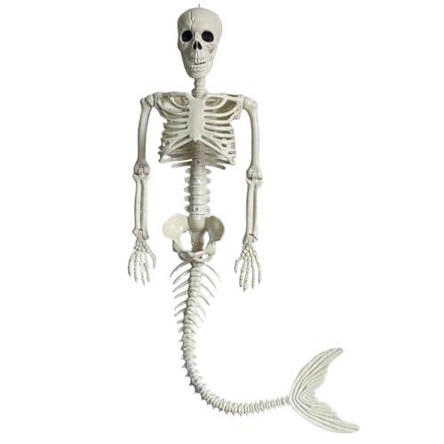 Meerjungfrau Skeletton 39 -Zoll -hängende Halloween -Skelett mit langem Schwanz für gruselige Szene, Haunted House, Outdoor Yard Display und gruselige Partydekorationen Meerjungfrau Skeletton 39 -Zoll -hängende Halloween -Skelett mit langem Schwanz für gruselige Szene, Haunted House, Outdoor Yard Display und gruselige Partydekorationen von Hbbgdiy