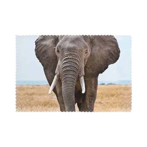 Platzsets 6er Set Elefant Natur Hitzebeständig Platzsets Waschbar Tischmatten rutschfest schmutzabweisend Küche Platzsets Leicht zu Reinigen für Esstisch Platzsets 6er Set Elefant Natur Hitzebeständig Platzsets Waschbar Tischmatten rutschfest schmutzabweisend Küche Platzsets Leicht zu Reinigen für Esstisch von Hceaatb