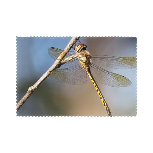 Tischsets 6er Set Libelle Natur Hitzebeständig Platzsets Waschbar Tischmatten Rutschfest Fleckenabweisend Küche Platzsets Leicht Zu Reinigen Für Esstisch Tischsets 6er Set Libelle Natur Hitzebeständig Platzsets Waschbar Tischmatten Rutschfest Fleckenabweisend Küche Platzsets Leicht Zu Reinigen Für Esstisch von Hceaatb