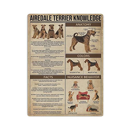 Airedale Terrier Knowledge Poster, Metallblechschild, Wandschild, Dekoration, Vintage-Retro-Schild, Eisenmalerei, Aluminiumschild für Heimdekoration, Bar, Shop, Männer, Höhle, Außenbereich, Garage, In von Hdadwy