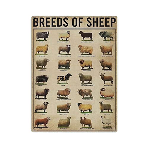 Breeds Of Sheep Knowledge Poster, Metallblechschild, Wandschild, Dekoration, Vintage-Retro-Schild, Eisenmalerei, Aluminiumschild für Heimdekoration, Bar, Shop, Männer, Höhle, Outdoor, Garage, Innenber von Hdadwy