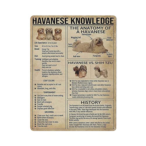 Havanese Knowledge Metall-Blechschild Knowledge Poster, Metall-Wandschild, Vintage-Wandkunst, Dekoration, Kunstwerk, Druck, Geschenk für Zuhause, Geschäft, Büro, Garten, Garage, Bar, Außenbereich, 40, von Hdadwy