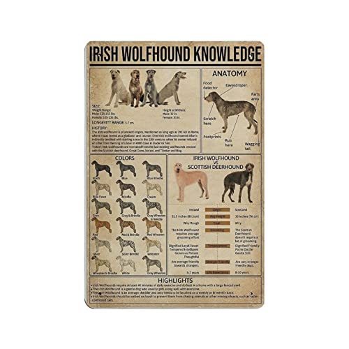 Irish Wolfhound Knowledge Poster, Metallblechschild, Wandschild, Dekoration, Vintage-Retro-Schild, Eisenmalerei, Aluminiumschild für Heimdekoration, Bar, Shop, Männer, Höhle, Außenbereich, Garage, Inn von Hdadwy