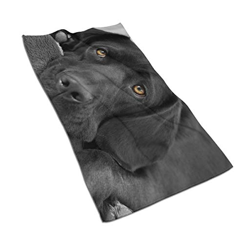 Weiches Handtuch Schwarz Labrador Badehandtücher Waschlappen für Zuhause/Strand/Yoga 27,5 "X 15,7" von Hdadwy