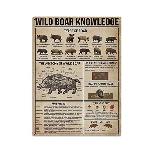 Wildschwein Wissen Poster Metall Blechschild Kunst Wandschild Dekor Vintage Retro Schild Eisen Malerei Aluminium Schild für Heimdeko Bar Shop Männer Höhle Outdoor Garage Indoor 16"x12" von Hdadwy