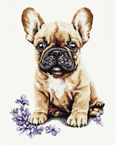 Hdfvlfdsa Stickpackung Kreuzstich Vorgezeichnet Französische Bulldogge 60x80cm Baumwolle Komplettes Stickset Mit Stickvorlage Stickerei-Kit Zum Selbersticken Erwachsene Hdfvlfdsa Stickpackung Kreuzstich Vorgezeichnet Französische Bulldogge 60x80cm Baumwolle Komplettes Stickset Mit Stickvorlage Stickerei-Kit Zum Selbersticken Erwachsene von Hdfvlfdsa