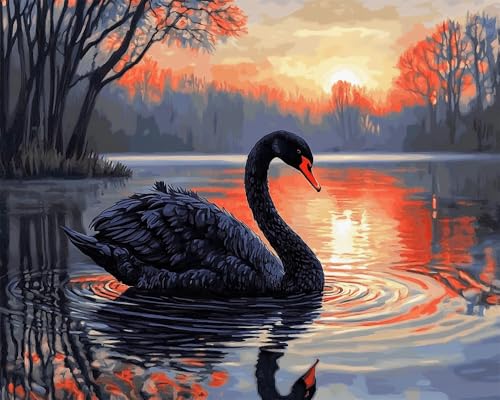 Hdfvlfdsa Stickpackung Kreuzstich Vorgezeichnet Schwarzer Schwan Im See 60x80cm Baumwolle Komplettes Stickset Mit Stickvorlage Stickerei-Kit Zum Selbersticken Erwachsene Hdfvlfdsa Stickpackung Kreuzstich Vorgezeichnet Schwarzer Schwan Im See 60x80cm Baumwolle Komplettes Stickset Mit Stickvorlage Stickerei-Kit Zum Selbersticken Erwachsene von Hdfvlfdsa