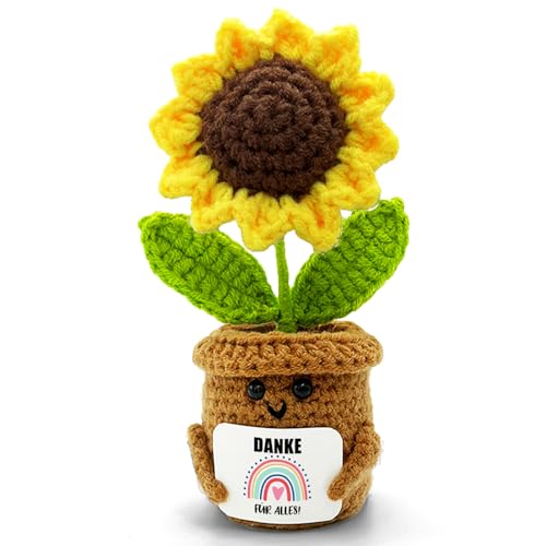 Dankeschön Geschenk Danke für Alles - Danke Geschenk für Familie Partner Freunde Kollegen oder als Abschiedsgeschenk für Erzieherin Erzieher Lehrerin Lehrer Kollegin Gehäkelte Glücksbringer Büro Deko von HeDaKang