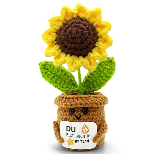 HeDaKang Du bist wichtig im Team - Abschiedsgeschenk Kollegen oder Rücktritt Ruhestand Geschenke Kleines Dankeschön Geschenk Motivierende Geschenkidee Teambuilding Mitarbeiter Büro Deko von HeDaKang
