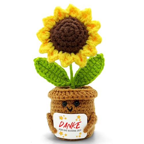 Kleines Dankeschön Geschenk Danke Alles - Danke für die schöne Zeit Abschiedsgeschenk Erzieherin Erzieher Lehrerin Lehrer Kollegen Abschied Kollegin Gehäkelte Glücksbringer Wohnzimmer Büro Auto Deko von HeDaKang