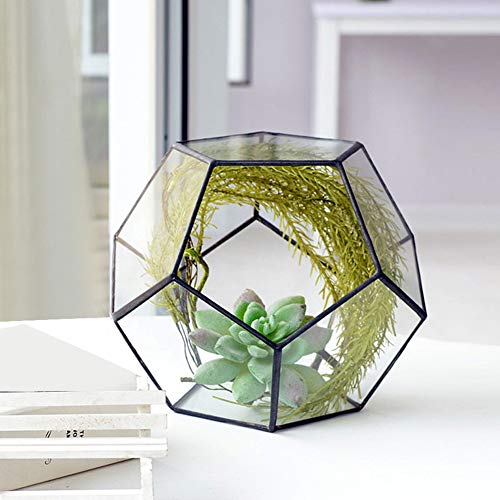 Stilvoller Glaspflanzer in Geometrischer Form für Sukkulenten, Robuster Glasblumentopf mit Atmungsaktiver Blechstange, Landschaftsdekoration mit Exquisiter Handwerkskunst von Headerbs