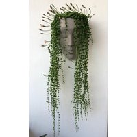 Übertopf Wand Indoor/Outdoor Wanddeko Kopfübertopf Wandbehang Blumentopf von Headplanters