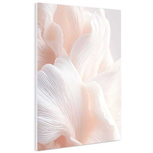 HEALANCY Bilder Blumen - KOMPLETT AUFHÄNGFERTIG - Wandbilder Wohnzimmer - Deko Modern - Schlafzimmer - Kunstdruck Wanddeko Küche - Blütenblätter Rosa Flowers Pflanzen von Healancy Biomedical