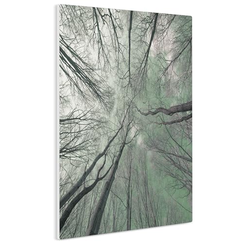 HEALANCY Bilder Natur - KOMPLETT AUFHÄNGFERTIG - Wandbilder Wohnzimmer - Deko Modern - Schlafzimmer - Kunstdruck Wanddeko Küche - Baum Wald von Healancy Biomedical