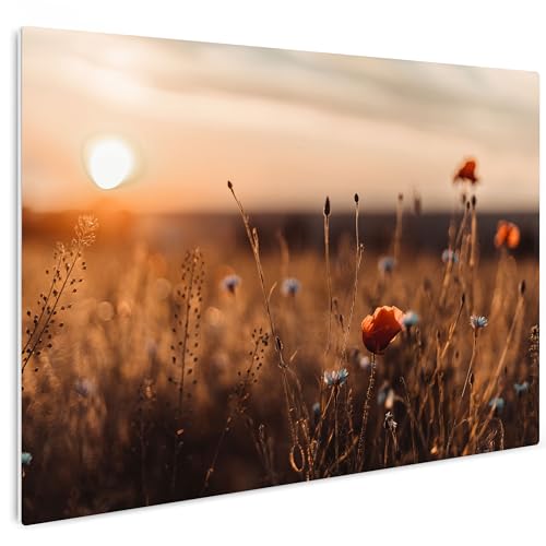 HEALANCY Bilder Natur - KOMPLETT AUFHÄNGFERTIG - Wandbilder Wohnzimmer - Deko Modern - Schlafzimmer - Kunstdruck Wanddeko Küche - Blumen Mohnblumen Landschaft von Healancy Biomedical