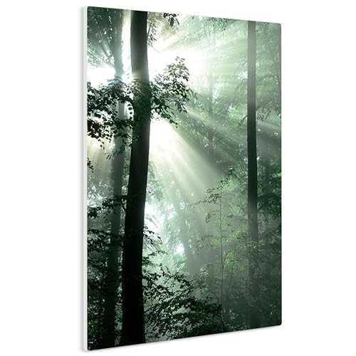 HEALANCY Bilder Natur - KOMPLETT AUFHÄNGFERTIG - Wandbilder Wohnzimmer - Deko Modern - Schlafzimmer - Kunstdruck Wanddeko Küche - Wald Baum Sonne von Healancy Biomedical