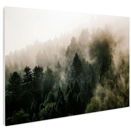 HEALANCY Bilder Natur Landschaft - KOMPLETT AUFHÄNGFERTIG - Wandbilder Wohnzimmer - Deko Modern - Schlafzimmer - Kunstdruck Wanddeko Küche - Wald von Healancy Biomedical