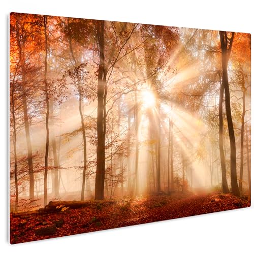 HEALANCY Bilder Natur Landschaft - KOMPLETT AUFHÄNGFERTIG - Wandbilder Wohnzimmer - Deko Modern - Schlafzimmer - Kunstdruck Wanddeko Küche - Wald Bäume von Healancy Biomedical