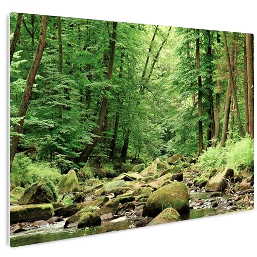 HEALANCY Bilder Natur Landschaft - KOMPLETT AUFHÄNGFERTIG - Wandbilder Wohnzimmer - Deko Modern - Schlafzimmer - Kunstdruck Wanddeko Küche - Wald Bäume von Healancy Biomedical