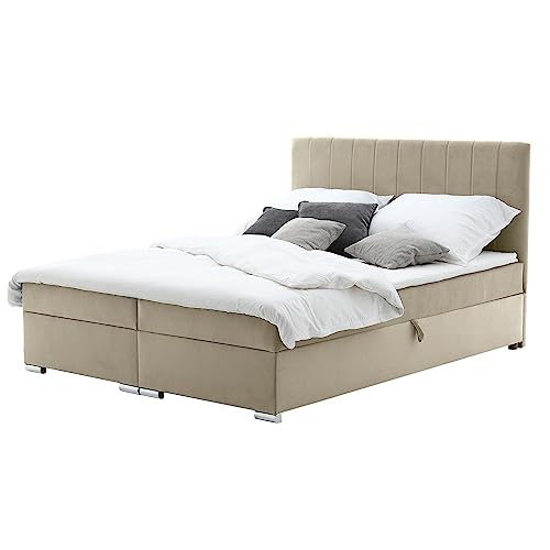 Healancy Biomedical Boxspringbett 160 x 200 cm - Bett mit Bettkasten - Gross Stauraumbett - Modern Polsterbett mit Conteiner, Topper und Bonellmatratze, Doppelbett - Schlafzimmer - Beige von Healancy Biomedical