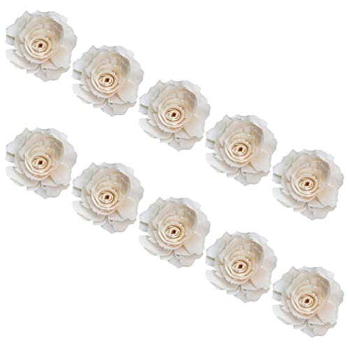 10st Aromatherapie-diffusor Stabdiffusor Feuerlose Aromadiffusoren Blumen Natürlich Raumdiffusor Schilf Praktischer Diffusorstab Duft Diffusor Blumen Ätherisches Öl Rose von Healeved