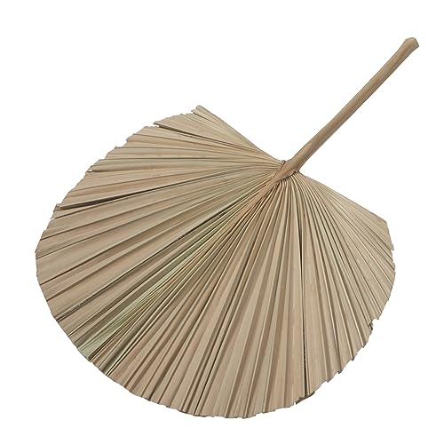 Healeved 1 Stück Getrocknete Palmblätter Dekoration Natürliche Palmblatt Kunst für Hochzeiten und Partys Boho Wohnaccessoire Tropische Wanddekoration für Familienfeiern und von Healeved
