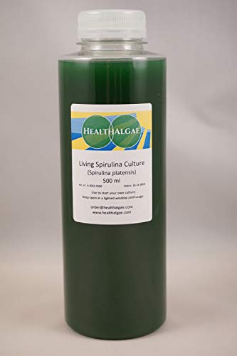 HealthAlgae Spirulina platensis Wohnkultur (500 ml) - Lebende Algen - Kultur beginnen - Spirulina zu Hause anbauen, schwedisch angebaut, mit Spirulina Grow Manual, Kombucha (500) von HealthAlgae