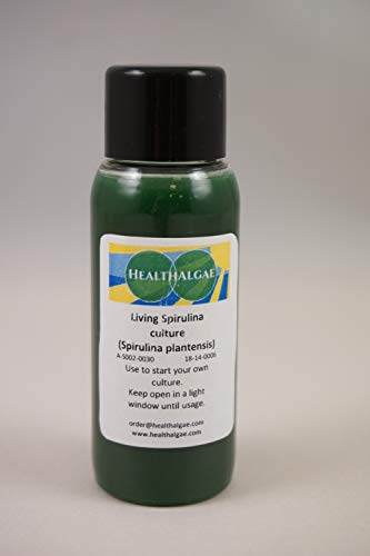 HealthAlgae Spirulina platensis Lebendkultur (30 ml) - Lebende Algen - Startkultur - Spirulina zu Hause wachsen (30 ml) von HealthAlgae