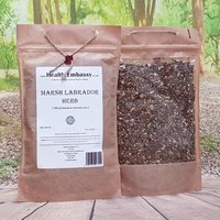 Sumpf- Labrador-Kräutertee/Ledum Palustre | Rhododendron Tomentosum - Botschaft Der Gesundheit von HealthEmbassy