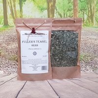 Fuller's Teasel Herb/Dipsacus Fullonum L Kräutertee Gesundheitsbotschaft von HealthEmbassyLTD