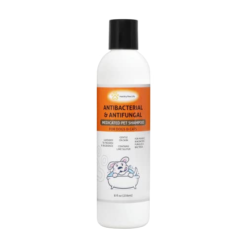 Healthy Paw Life's Lime Schwefel Haustier-Shampoo – Haustierpflege und tierärztliche Lösung für juckende und trockene Haut – sicher für Hund, Katze, Welpen, Kätzchen, Pferd Healthy Paw Life's Lime Schwefel Haustier-Shampoo – Haustierpflege und tierärztliche Lösung für juckende und trockene Haut – sicher für Hund, Katze, Welpen, Kätzchen, Pferd von Healthy Paw Life