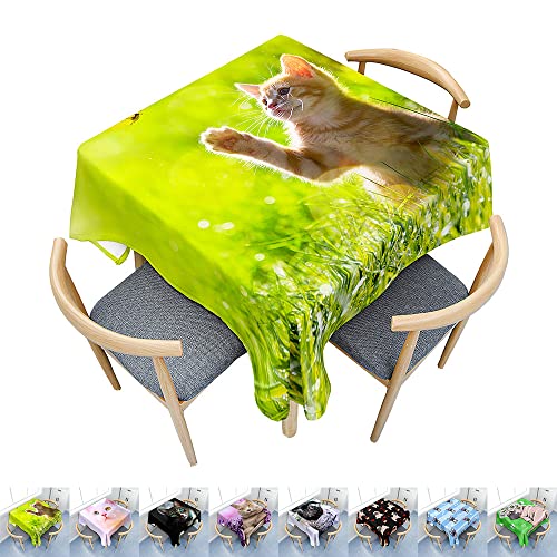 Hearda Tischdecke Abwaschbar Rechteckig, 3D-Katzen- und Hundedruck Polyester Tischdecken Wasserdicht Pflegeleicht Tischtuch für Küche Party Bar Restaurant (Ausflug Katze,60x60cm) von Hearda